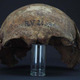 El cráneo de RV 2039, un cazador-recolector que murió hace más de 5.000 años en lo que hoy es Letonia